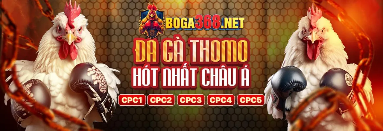 Đá Gà Trực Tuyến Hấp Dẫn tại 4466club